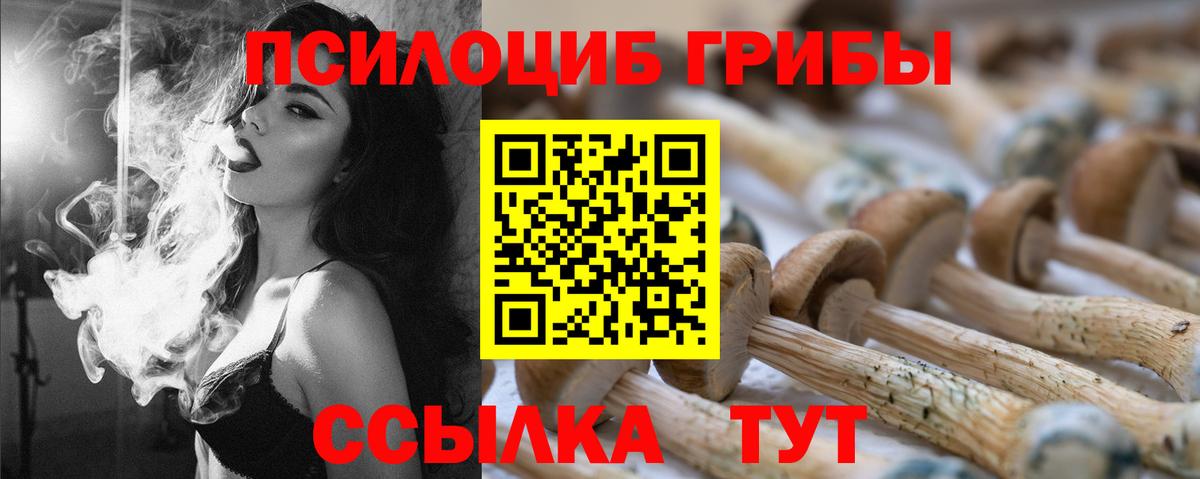 Пенза  Галлюциногенные грибы Psilocybe  наркотики  Вход с VPN 